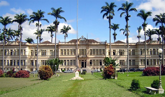 Universidade Federal deViçosa